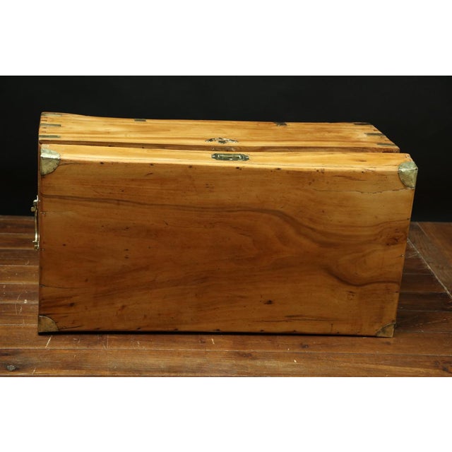 Camphor and Brass Buffet, 1890s For Sale - Image 4 of 7