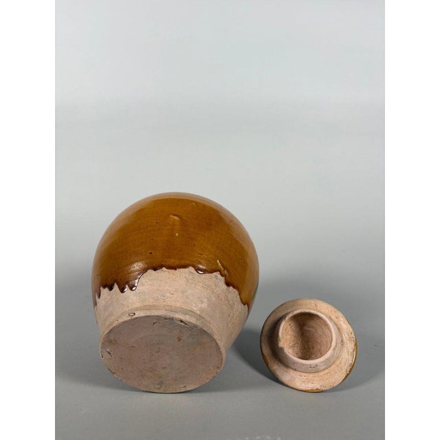 Asian Covered terracotta vase with amber glaze, Tang Dynasty (618-907) For Sale - Image 3 of 5