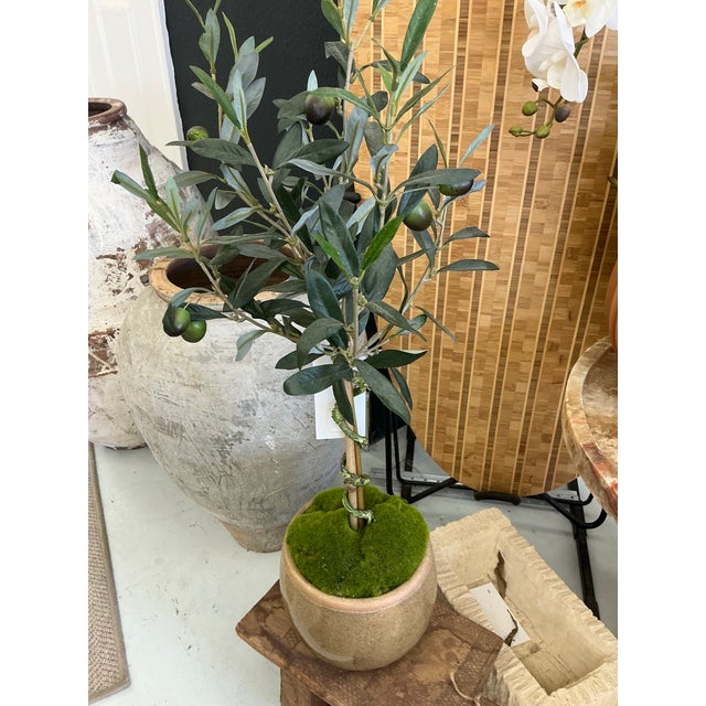 This adorable faux olive tree, crafted with moss and housed in a natural earthenware vase, looks incredibly realistic. Its...