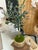 This adorable faux olive tree, crafted with moss and housed in a natural earthenware vase, looks incredibly realistic. Its...