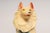 Off-white Vintage Painted Chalkware Carnival Chalk Collie Dog Sculpture / Figurine For Sale - Image 8 of 18