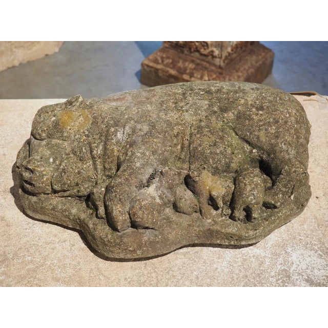 Weathered Cast Stone Pig and Piglets From England, 20th C. For Sale - Image 13 of 13