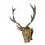 Large Antique Wooden Carved Black Forest Baroque Stag Head With 10 Point Trophy For Sale