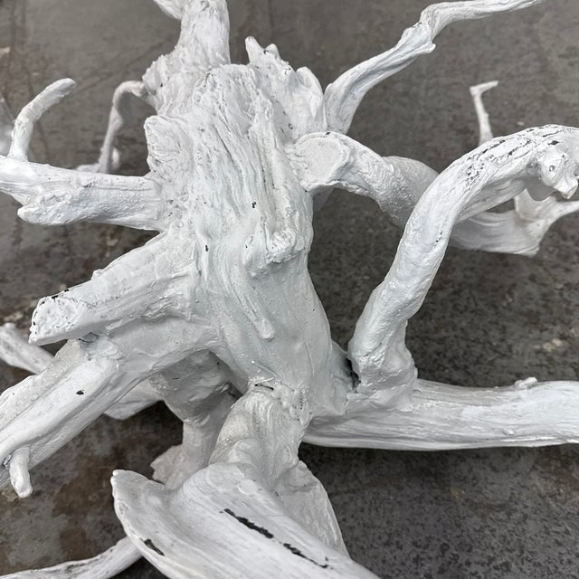 Revelation From Uttermost Big Sur Driftwood Coffee Table For Sale In San Francisco - Image 6 of 12