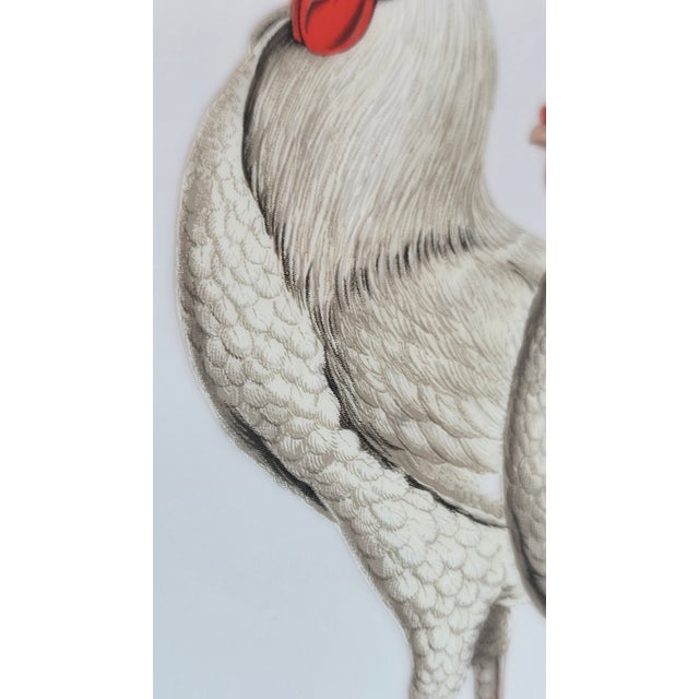 Shabby Chic 1990s Cottagecore Rooster Plate For Sale - Image 3 of 11