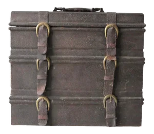 Vintage Leather Buckle Carrying Case