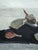 White Mid-Century Modern 'Tabletop Forms' Swedish Original Still Life Oil Painting, Framed For Sale - Image 8 of 11