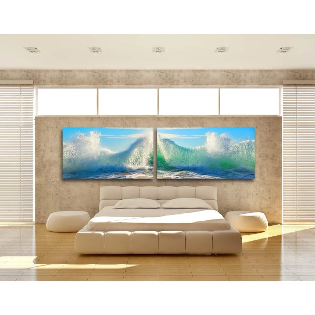 SALTWATER SLINKY "If your home is of the size that requires large scale artwork, here is an ultra- dramatic two panel (...