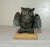 Up for sale is a vintage solid bronze perched owl statue, featuring intricate details and is a very heavy piece. Crafted...