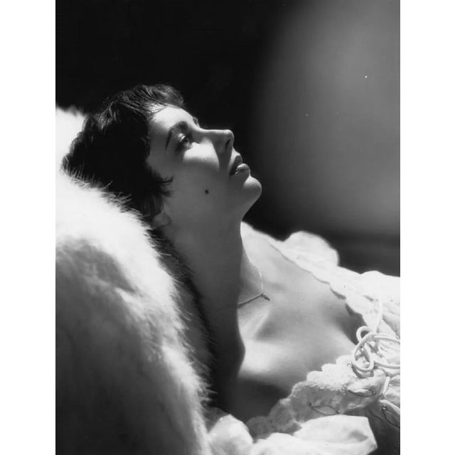 Baron, Taylor Reclines, 1951 / 2022, Photograph For Sale