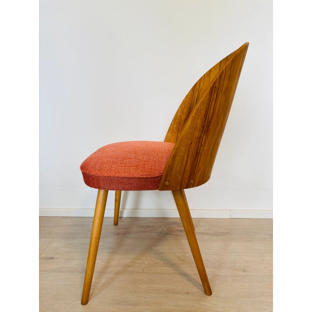 Mid-Century Dining Chair from Antonin Suman, Czechoslovakia, 1960s For Sale - Image 10 of 12
