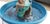 Earthenware Fountain Dolphin from Vallauris, 1950 For Sale - Image 8 of 14