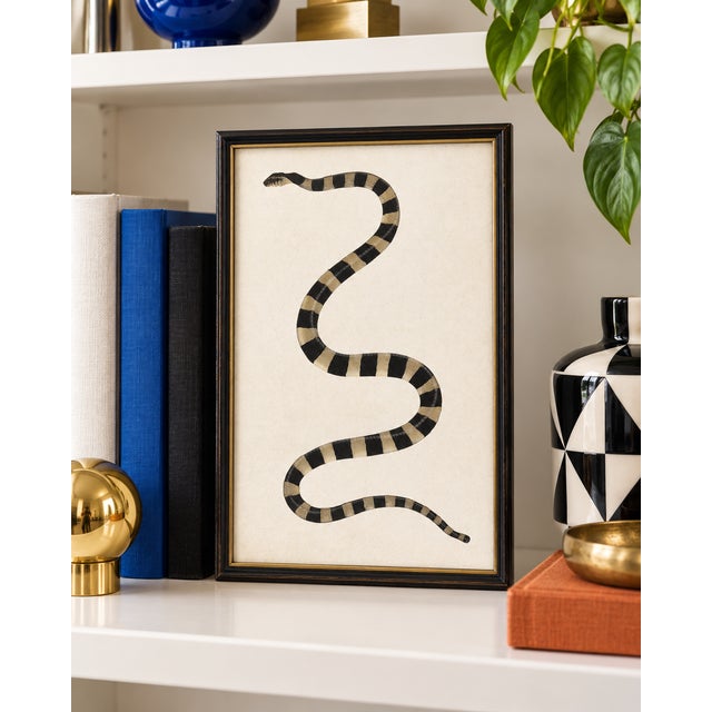 Jonathan Adler 1782 Vintage Banded Snake Natural History Art Print by Bhawani Das - 12" X 18" For Sale - Image 4 of 9
