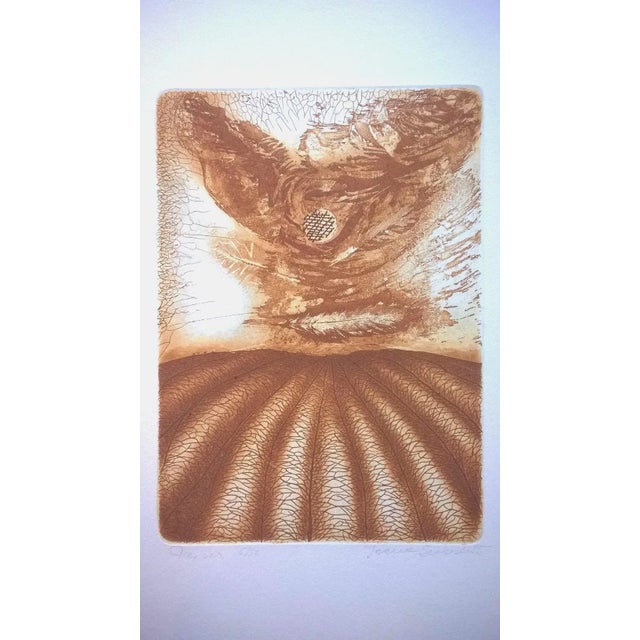 IRENA SNARSKA (b. 1934, d. 2013) Irena Snarska was born in 1934 in Lviv. She studied at the Faculty of Interior...