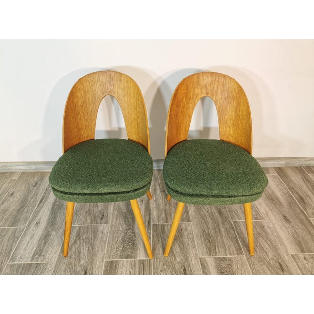 Set of Dining Chairs by Antonin Suman, 1960s For Sale - Image 4 of 16