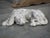 Mid 20th Century Italian Volterra Alabaster Sleeping Hound Sculpture – Bardiglio Grey, 20th C. For Sale - Image 5 of 14
