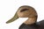 Well painted duck decoy. The detail put onto the face to give it the appearance of feathers gives this piece a fabulous...