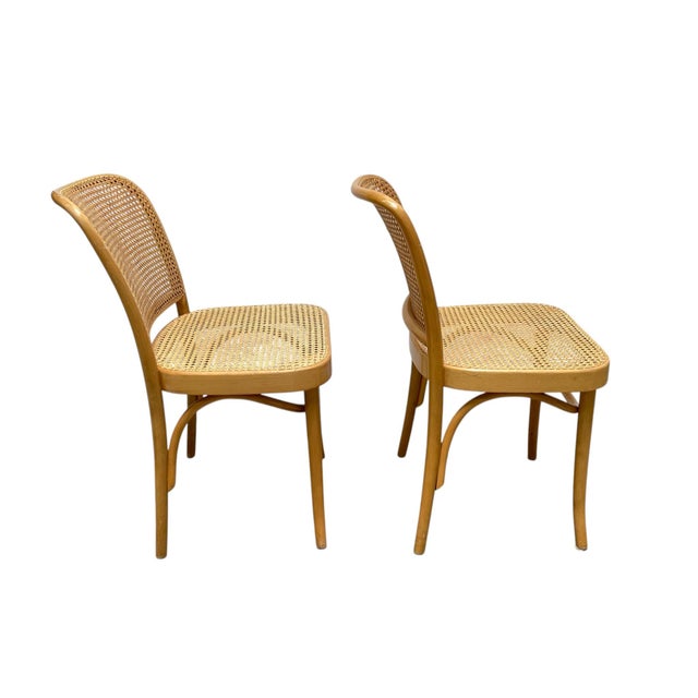Mid-Century Modern Mid 20th Century Thonet Prague 811 Side Chairs by Josef Hoffman, Pair For Sale - Image 3 of 6