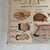 Vintage School Poster of Insectivorous Animals / Rabbit, 1950s For Sale - Image 6 of 11