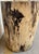 Organic Modern Natural Wood Accent Table/Stool For Sale - Image 4 of 4