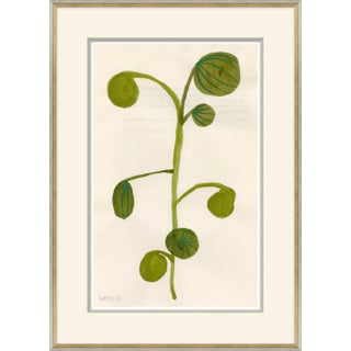 Fruity IV Framed Art Print by Susan Hable For Sale