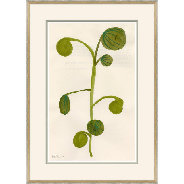 Fruity IV Framed Art Print by Susan Hable For Sale