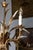 Gold Mid 20th Century French Chandelier - Inspired By Coco Chanel For Sale - Image 8 of 8