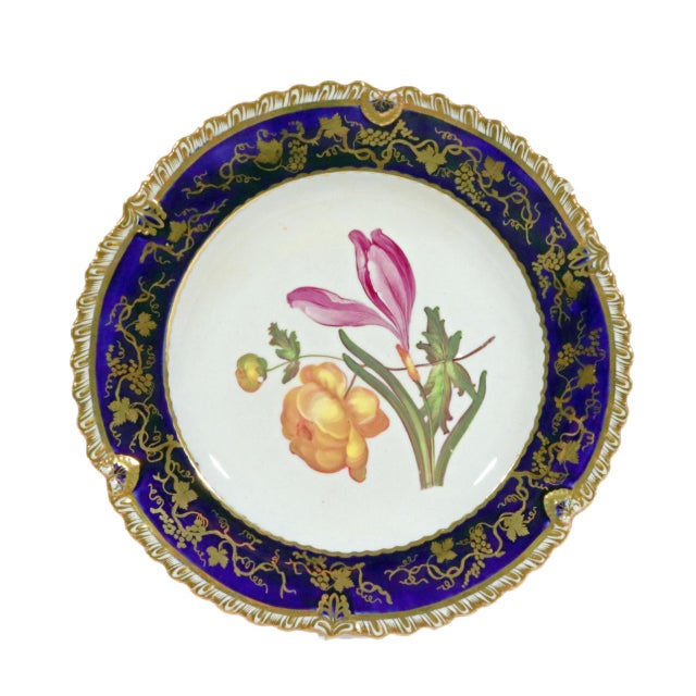Coalport Porcelain Botanical Plates, Set of Twelve, John Rose For Sale - Image 14 of 16