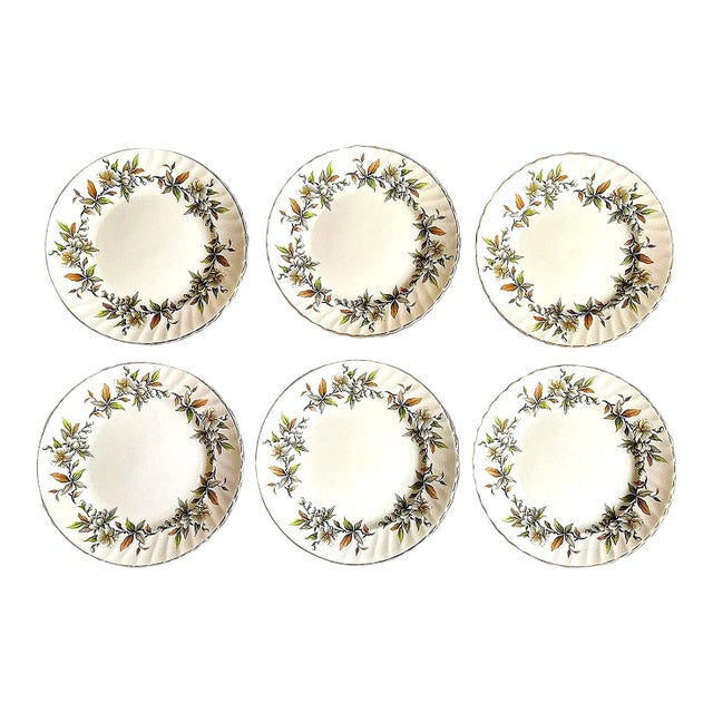 S/6 Royal Adderley “Arcadia” Salad Plates – English Fine Bone China For Sale