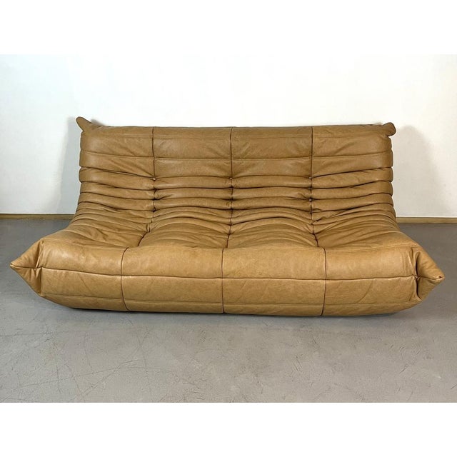 Camel Leather Togo Sofa Set by Michel Ducaroy for Ligne Roset, Set of 5 For Sale - Image 11 of 12