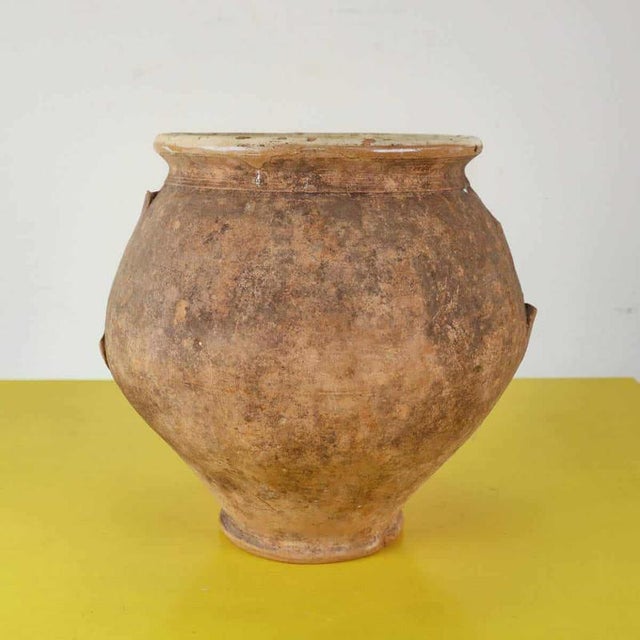 Amphora Vase in Glazed Terracotta Inside For Sale - Image 9 of 9