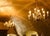 Mid-Century Dutch 2-Tier Chandeliers, Set of 2 For Sale - Image 4 of 9