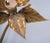 Brass Flowers Wall Lights from Willy Daro, 1970s For Sale - Image 9 of 13