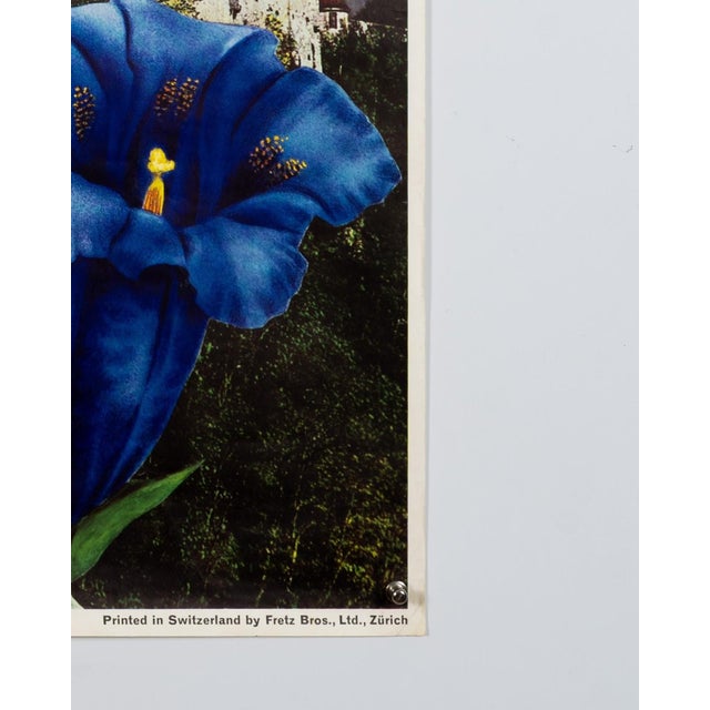 Paper Liechtenstein Travel Poster by Baron V. Falz, 1960s For Sale - Image 7 of 9