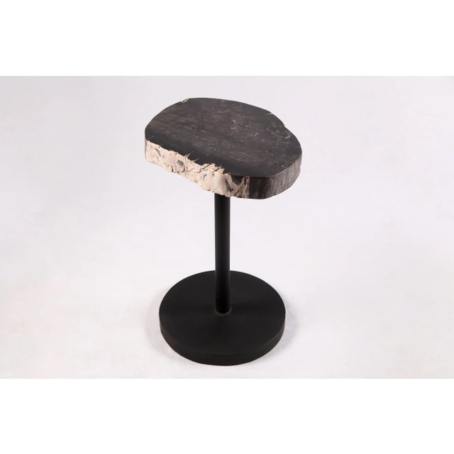 The top of this modern accent side table is made of one slice of organic petrified wood, hand polished to show its...