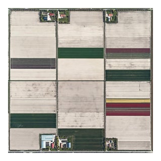 "AV_Tulip_Fields_002" Contemporary Limited Edition Fine Art Photograph Print by Bernhard Lang For Sale