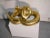 Vintage Gilded Coiled Cast Metal Rattlesnake Statue For Sale - Image 9 of 13