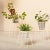 Small Dusty Peach Cibele Plant Stands by Ok Design, Set of 3 For Sale - Image 6 of 7