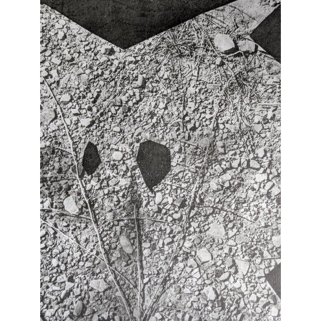 1960s Pablo Picasso, Diurnes, Original Photoengraving, 1962 For Sale - Image 5 of 6