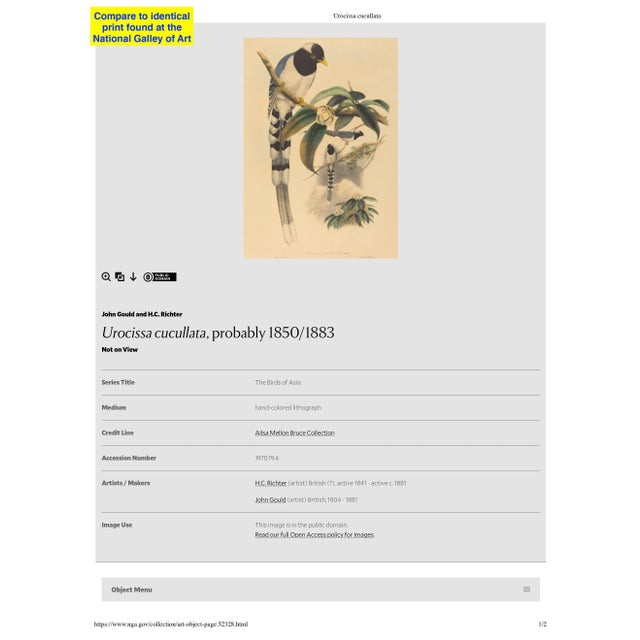 Framed hand colored lithograph by the well known 19th century English ornithological artist John Gould (1804-1881). This...