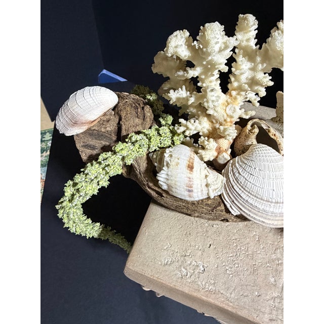 Wood Celestial Meets the Sea Driftwood Sculpture For Sale - Image 7 of 8
