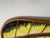 Large Fish Wall Decoration in Bamboo, 1970s For Sale - Image 3 of 17