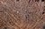 Contemporary Andrianna Shamaris Coral Fan For Sale - Image 3 of 5