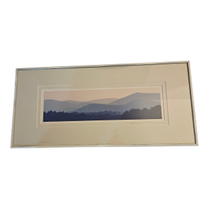 Vintage Framed Original Photo, Gene Taylor, Original Signed
