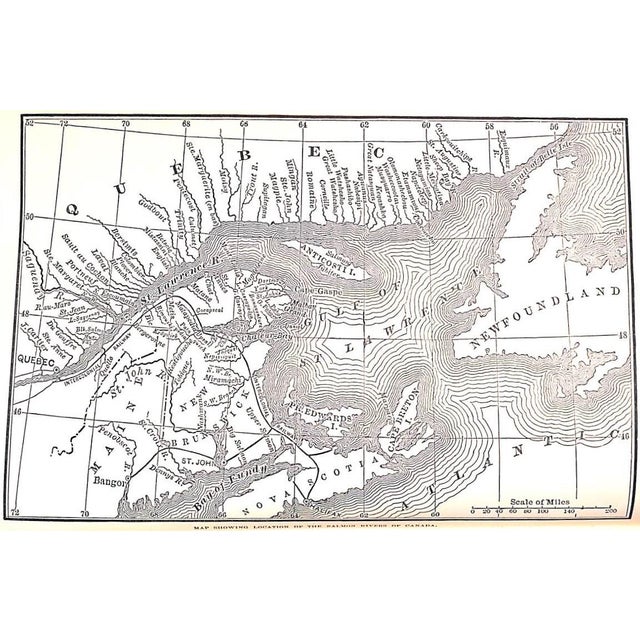 "The Life-History of the Atlantic and Pacific Salmon of Canada" 1930 Griswold F. Gary and Hume, r.d. For Sale - Image 4 of 4