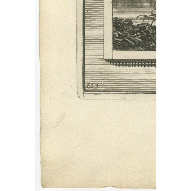 Pieter Mortier, Tobit Loses His Sight and Tobias Catches the Fish, 1700, Engraving For Sale - Image 9 of 12