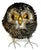 Brutalist Metal Owl Sculpture, Attributed to Sergio Bustamante Mexico, circa 1970s This striking Brutalist metal owl...