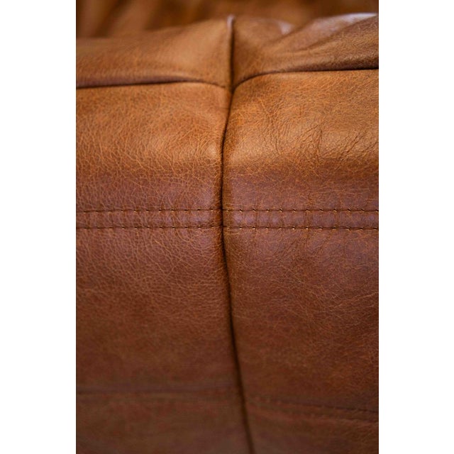 Vintage Two-Seater Togo Sofa with Arms in Brown Pine Leather by Michel Ducaroy for Ligne Roset, 1970s For Sale - Image 15 of 18