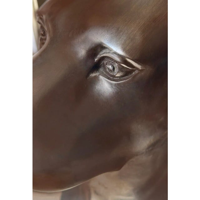 Bronze Life Size Chocolate Labrador, Lake Geneva Studio For Sale - Image 12 of 12