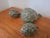 Ceramic Williams-Sonoma Artichoke Salt and Pepper Shakers + Decorative Piece For Sale - Image 7 of 7